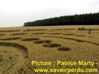 Avebury Stone Circle, Wiltshire crop circle, aerial photo 60